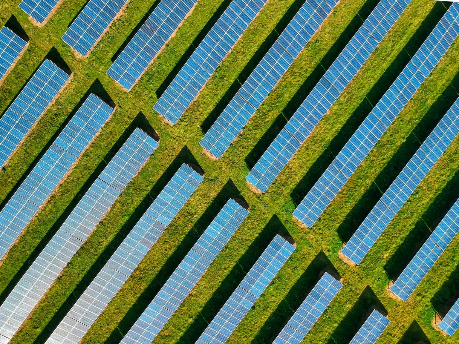 Solar Farms Need You Community Solar From Town Square Energy